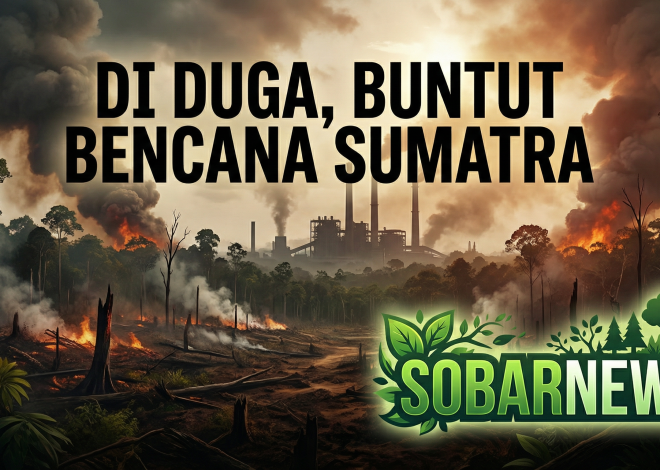 Menteri LH Bakal Evaluasi AMDAL 100 Perusahaan Buntut Bencana Sumatra