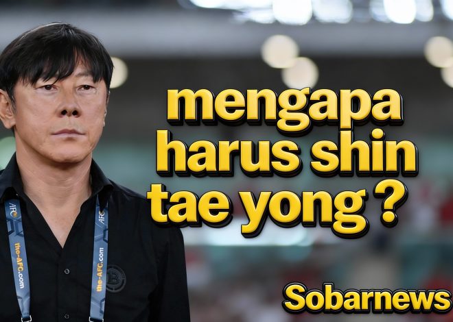 Timnas Merindukan Shin Tae-yong,                   Kenapa harus shin tae-yong ?