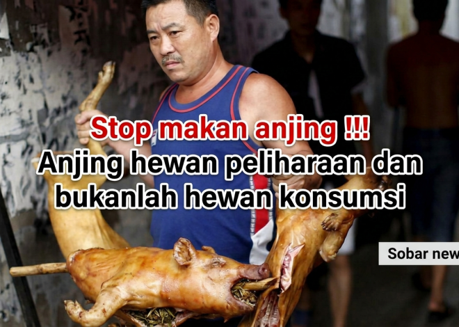Heboh Dugaan Pesta Daging Anjing Panggang di Nusa Penida
