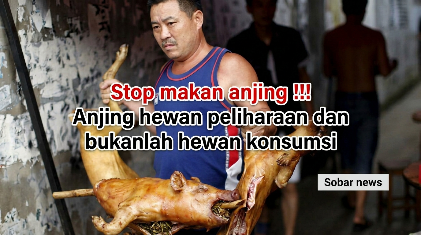 Heboh Dugaan Pesta Daging Anjing Panggang di Nusa Penida